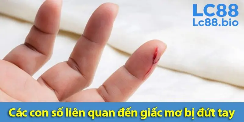 Mơ đứt tay đánh số mấy? Giải mã giấc mơ về nỗi sợ và hy vọng trong tiềm thức