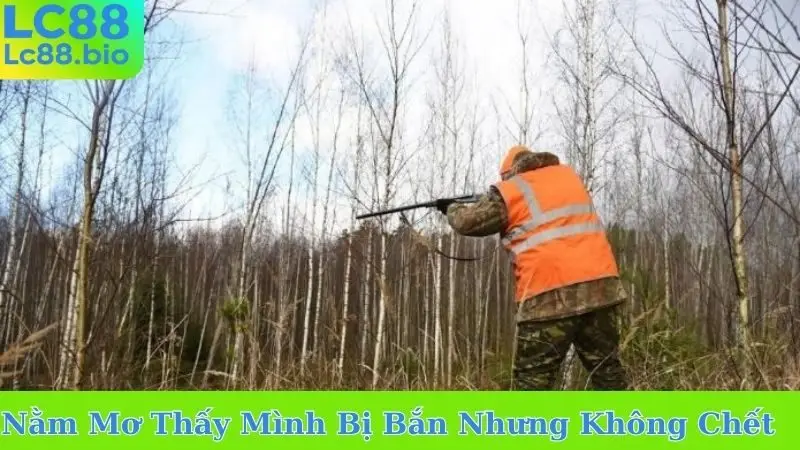 Nằm Mơ Thấy Mình Bị Bắn Nhưng Không Chết